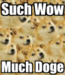 such-wow-much-doge.png