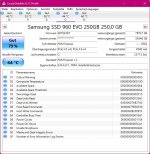 250 GB m.2 SSD.jpg