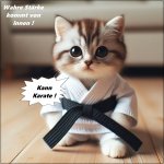 HaMa am 11.03.2024 - Karate Cat.jpg
