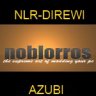 NLR-DIREWI