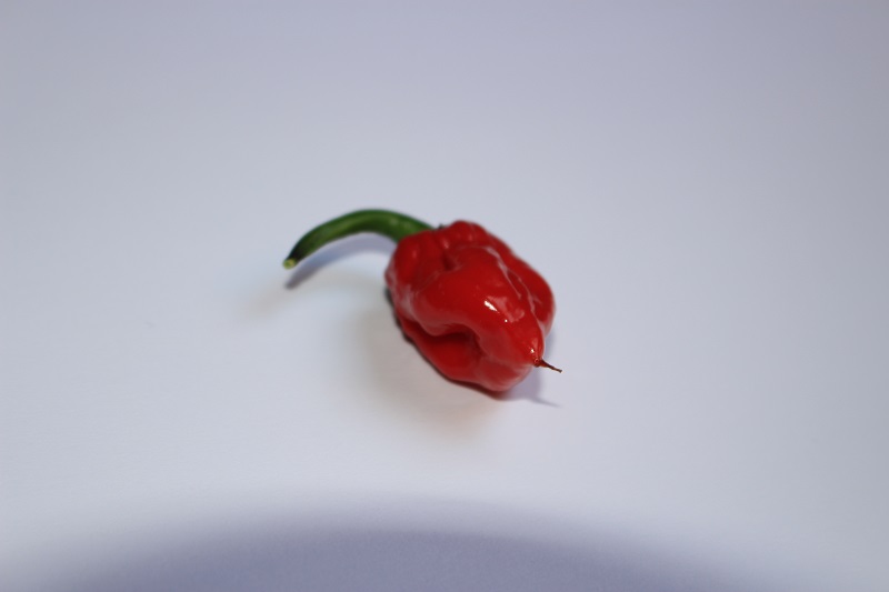 attachment.php