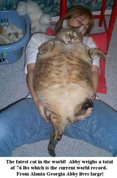 attachment.php