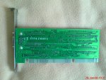 DSC01310.JPG