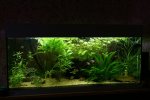 250L_aquarium.jpg