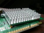 8403.jpg