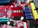 8424.jpg