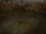 44759.jpg