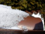 Ice.jpg