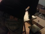 2012-02-18 19.45.05.jpg
