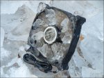 Polar 014.jpg