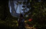 witcher2 2012-02-23 21-43-59-62.jpg