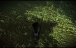 witcher2 2012-02-23 22-19-43-05.jpg