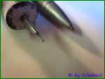 IMG_1486010PCGH.jpg