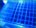 IMG_1490014PCGH.jpg