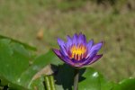 DSC_0855.jpg