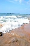 DSC_0908v.jpg