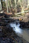 DSC02828-1.JPG