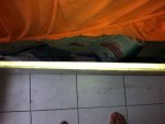 IMG_0175.JPG