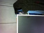 IMG_0177.JPG