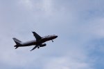 IMG_0578.jpg