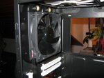 2012-03-01 008.JPG