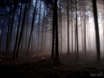 Nebel 203.jpg