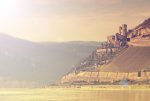 bingen3.jpg
