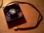 IMG_20120305_225341.jpg