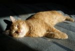 DSC03412_900.jpg