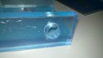 20120311_041.jpg