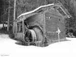 DSC00856.jpg