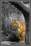 IMG_3278-Bearbeitet.jpg