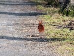 DSCF8083.JPG