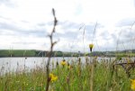 MP-Irland_0480.jpg
