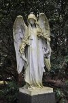 _DSC0028k_01.JPG