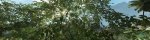 Crysis 2012-03-14 20-43-16-60.jpg