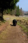 SAM_5678_bearbeitet.jpg