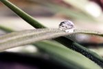 Tropfen_nb_klein.jpg