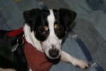 DSC03498_900.jpg