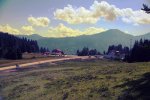 SAM_1537_bearbeitet.jpg