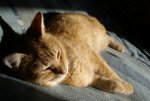 DSC03410_900.jpg