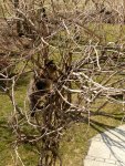 image-123408060.jpg