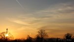 IMG_1166c.jpg