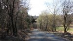 IMG_1161.jpg