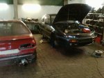 P1939_03-04-12.JPG