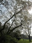 SchloÃŸpark15.jpg