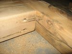 IMG_5298.JPG