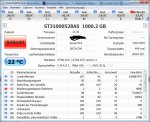 St3100528Diskinfo.jpg