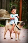 pug-riding.jpg