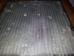 20120411_065045.jpg